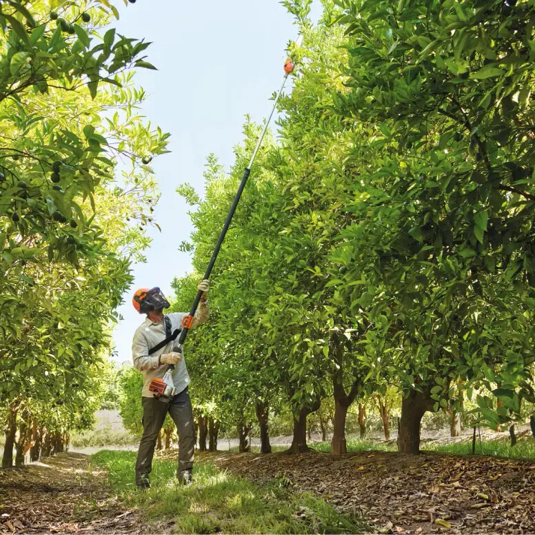 מסור גובה מוטורי טלסקופי STIHL HT75