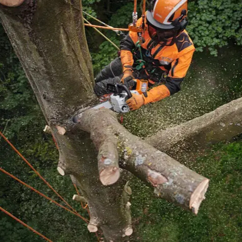 מסור שרשרת נטען STIHL MSA 220 T סט