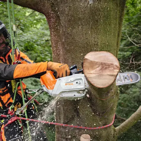 מסור שרשרת נטען STIHL MSA 220 T סט