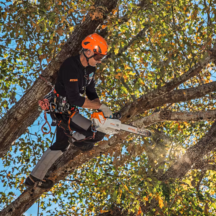 מסור שרשרת נטען STIHL MSA 220 T סט