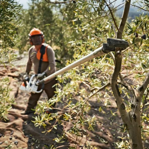 מנערת זיתים STIHL SP 482