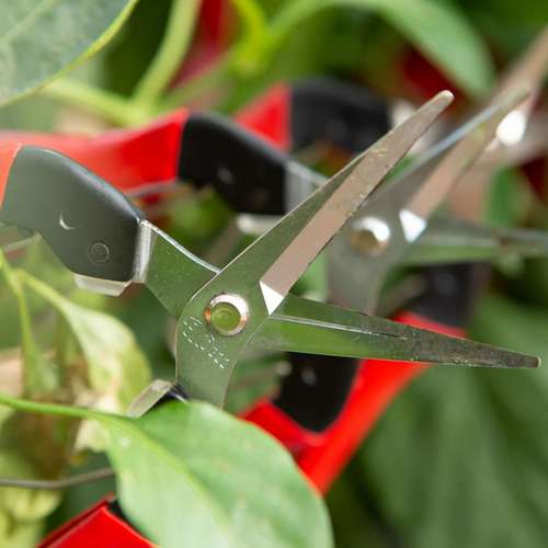 מזמרה ידנית פלקו 322 מקטפה קלאסית FELCO