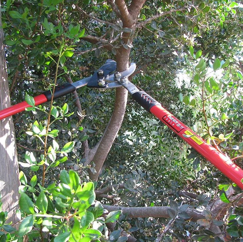 מספרי גיזוםTABOR GG-11 בשיטת מספריים