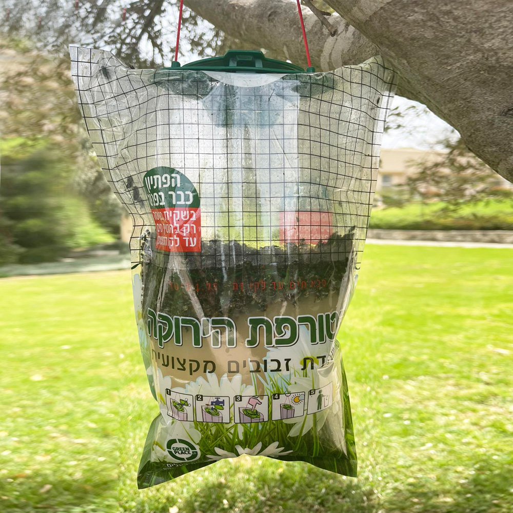 הטורפת הירוקה - מלכודת זבובים GREEN PLAC