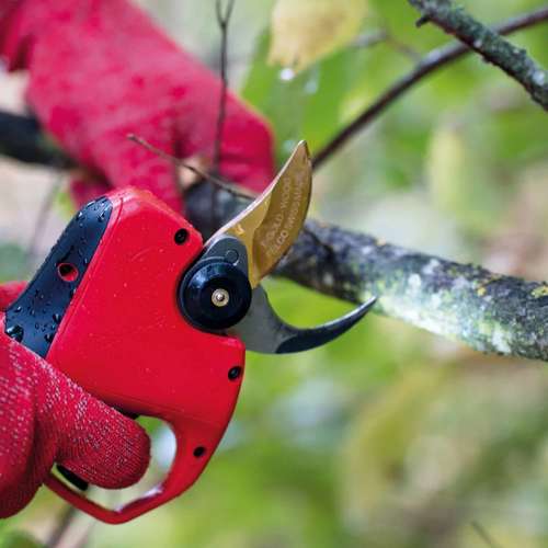 מזמרה נטענת פלקו FELCO 834V