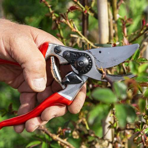 מזמרה ידנית פלקו 9 ליד שמאל FELCO