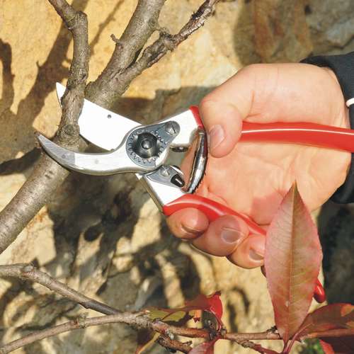 מזמרה ידנית פלקו 2 דגם קלאסי FELCO