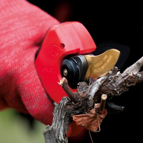 מזמרה נטענת פלקו FELCO 834V לגפן 34 מ"מ